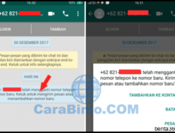 Misteri Kata-Kata Ganti Nomor WA: Apa dan Mengapa?